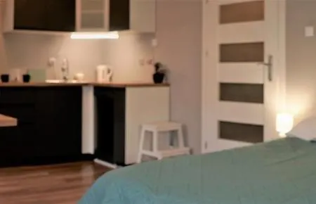 Piotrkowska 44 Apartment Łódź Esterno foto